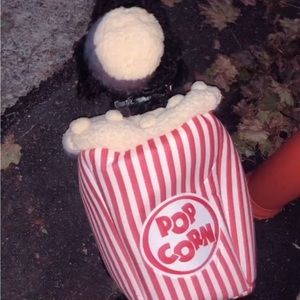 Popcorn Pet Costume Size M